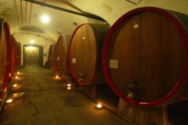 Cantine Castello Tagliolo 2